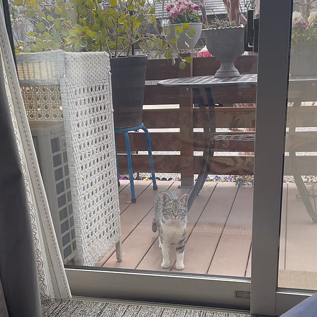 ronronさんの実例写真