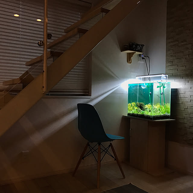 hotaboさんの実例写真