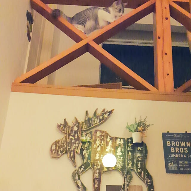 chako.さんの実例写真