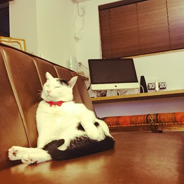aimi614さんの実例写真