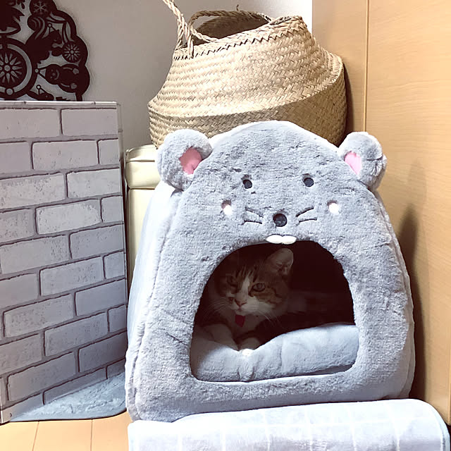nnmmさんの実例写真