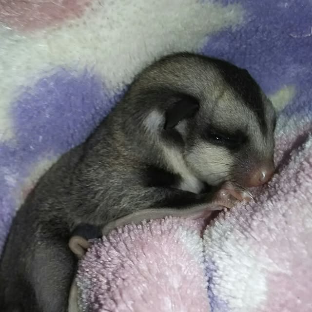 KOHAKUさんの実例写真