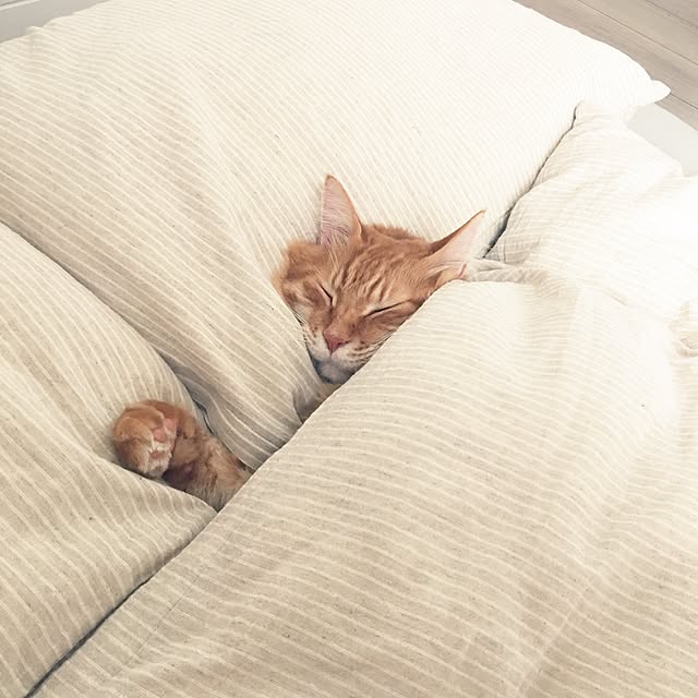 pomuriさんの実例写真