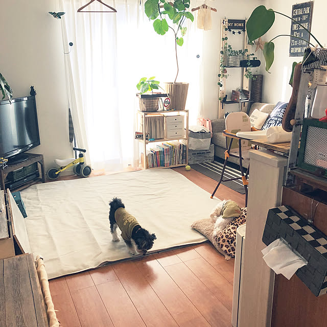 tomさんの実例写真