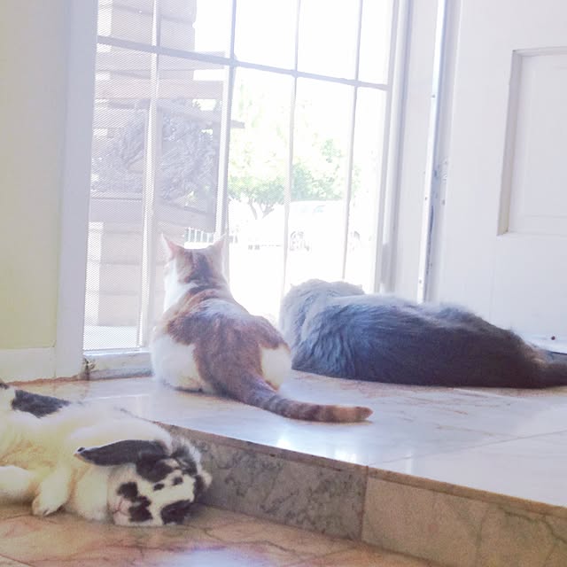 mimiさんの実例写真
