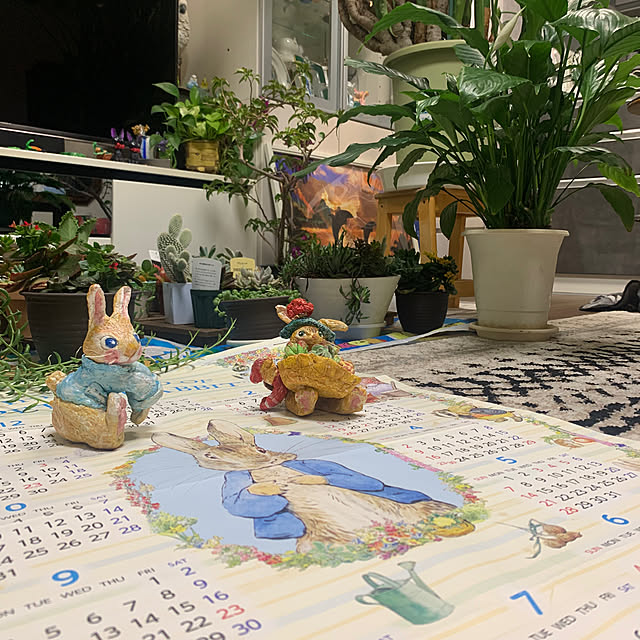 Aqettyさんの部屋