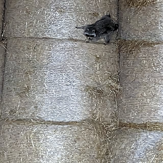 GINさんの部屋