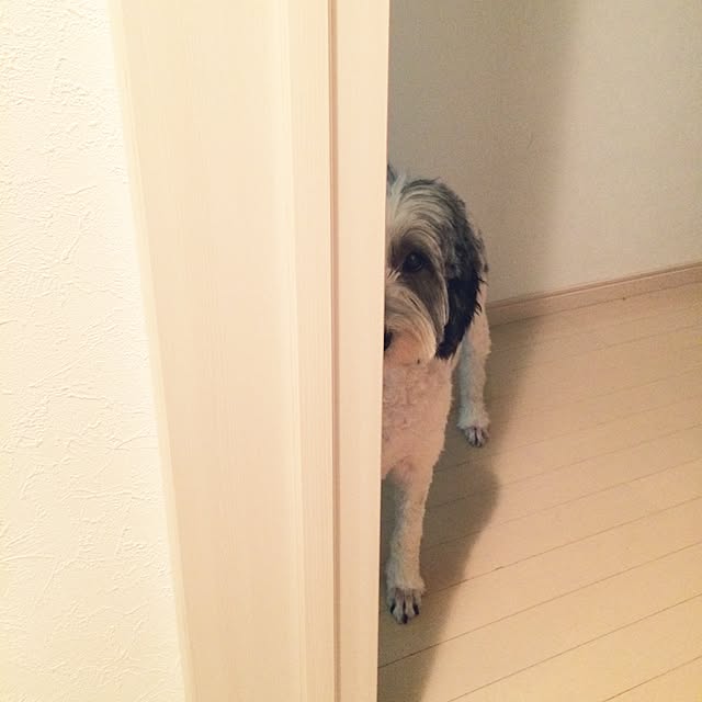nuiさんの実例写真