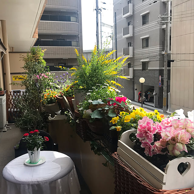 pinponpankamakuraさんの実例写真
