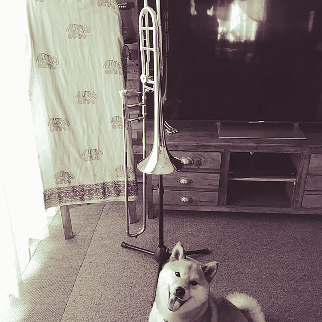 wonderfulさんの実例写真