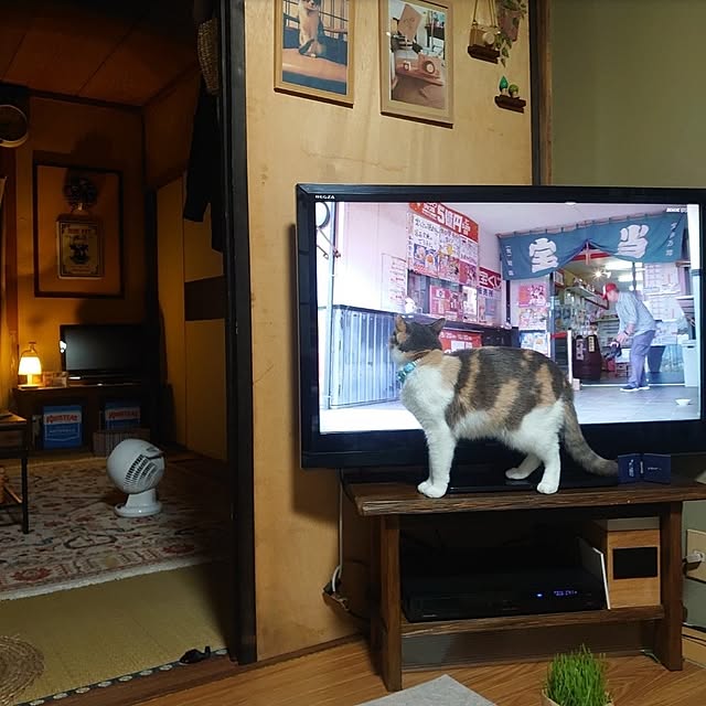 fukuさんの部屋
