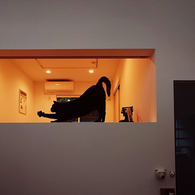 Blackcatさんの実例写真
