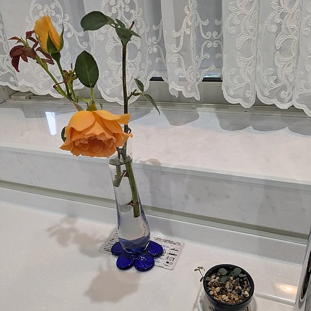 machikomamaさんの部屋