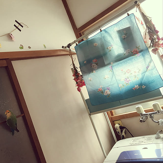 aoinokimiさんの実例写真