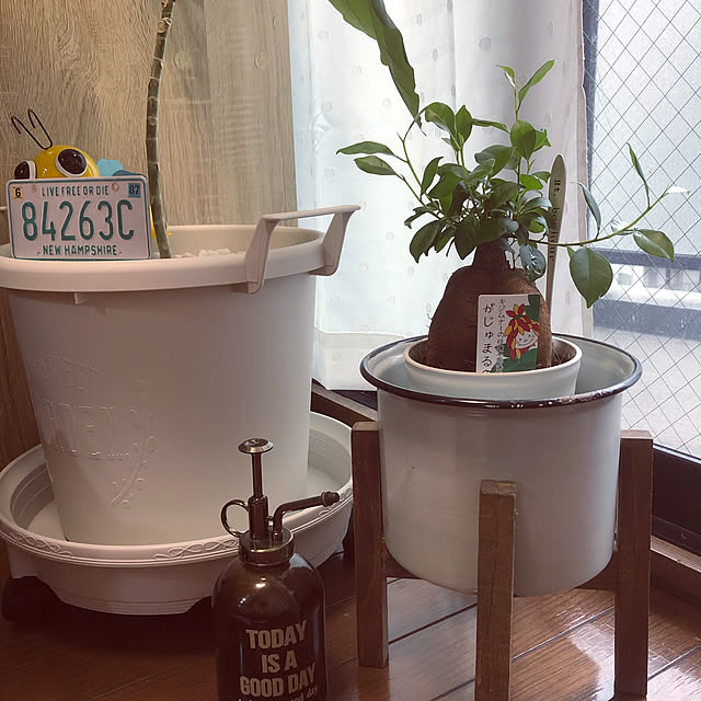 honpoさんの実例写真