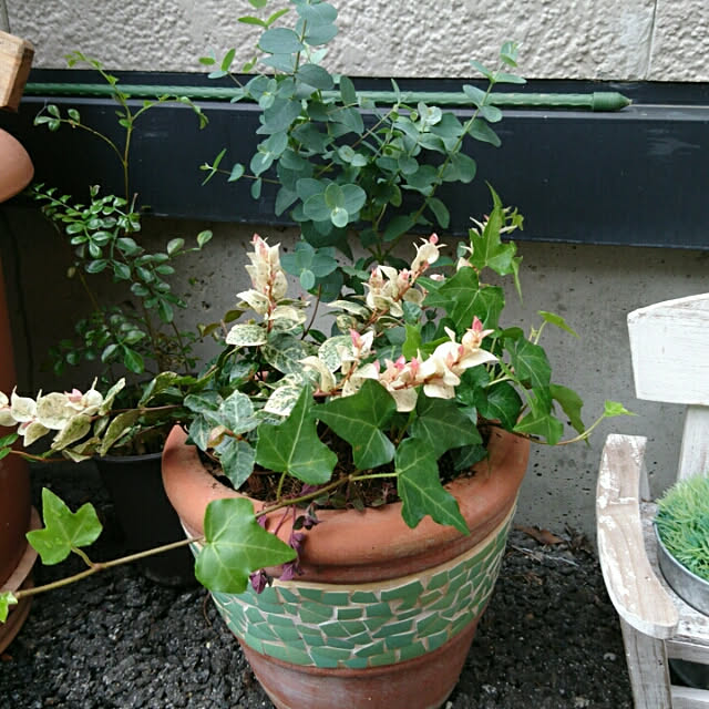 sena.masato.mamaさんの実例写真