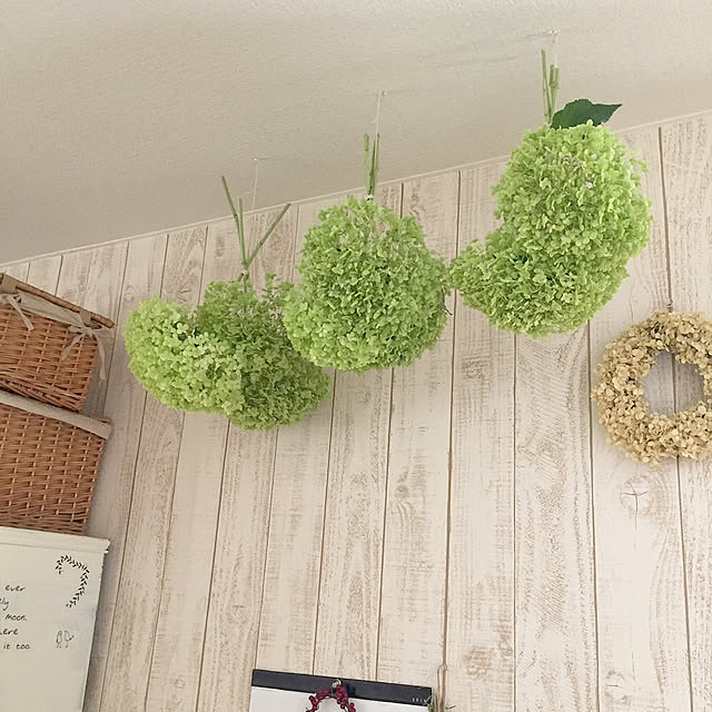 kotoriさんの実例写真