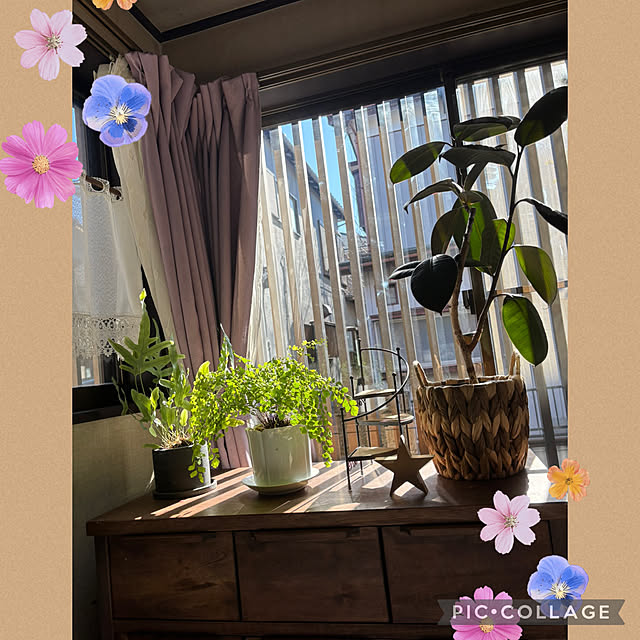 Smilkazuさんの部屋