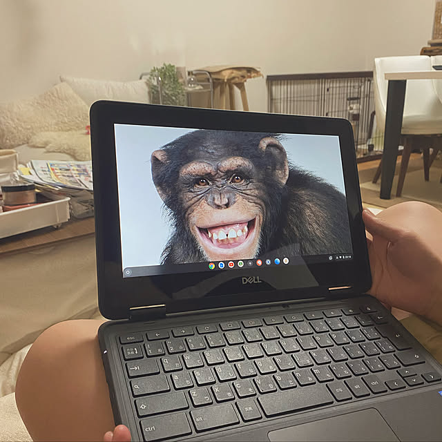 namiheeeeyさんの実例写真