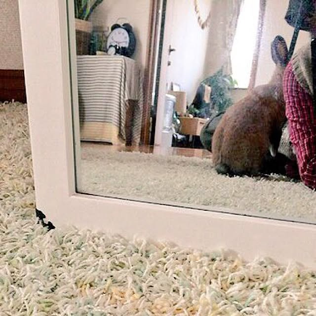 Akariさんの実例写真