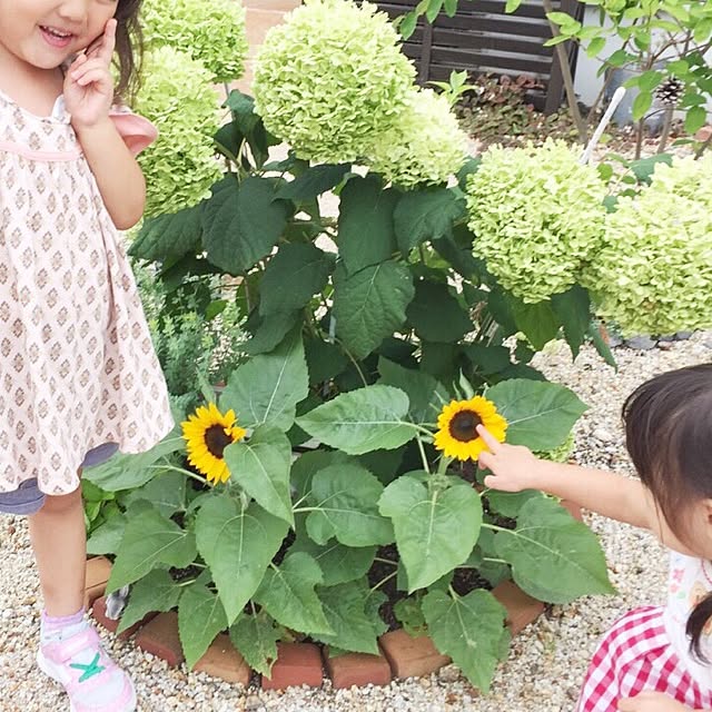 tiaraさんの実例写真