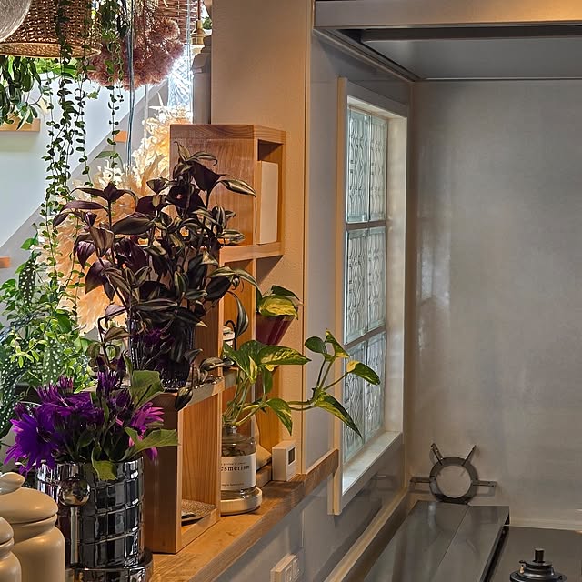 nonbiri_house_さんの部屋