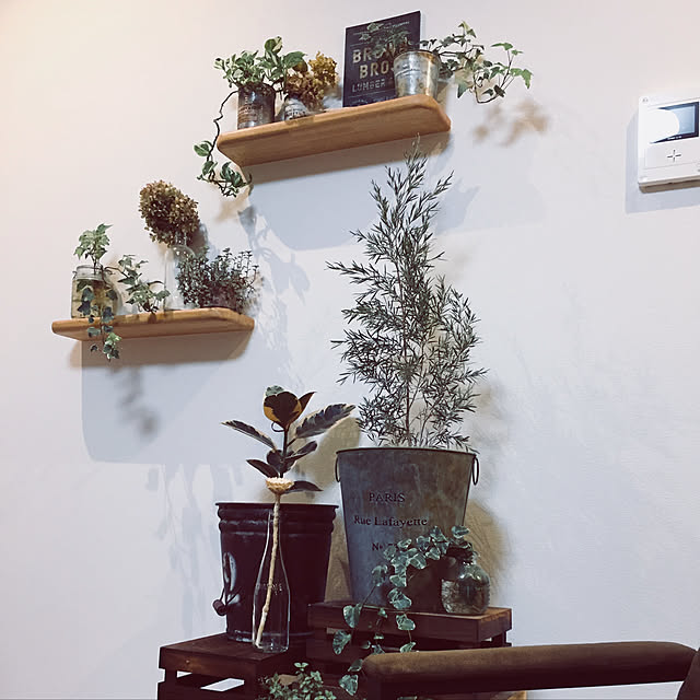 棚/100均/ハンドメイド/観葉植物のインテリア実例 - 2019-01-22 13:44:48