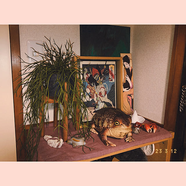 ynmjgfvさんの実例写真