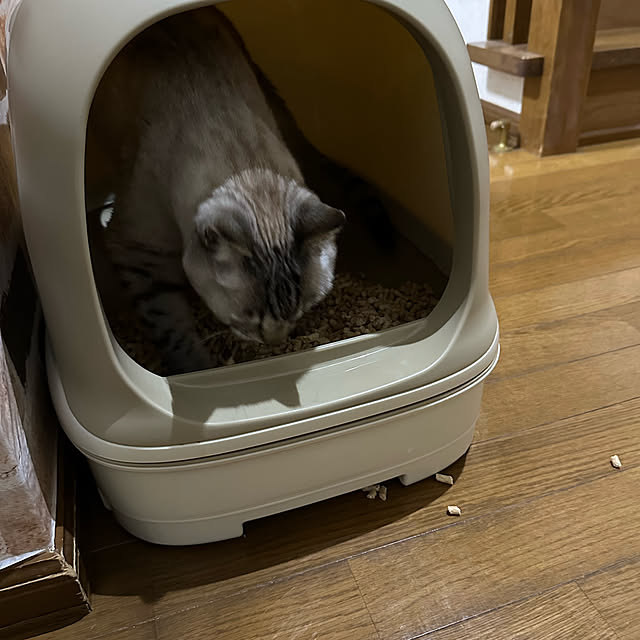 mieさんの実例写真