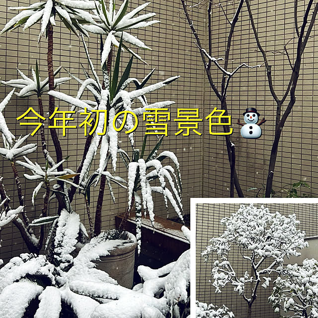 happy-sachiさんの実例写真