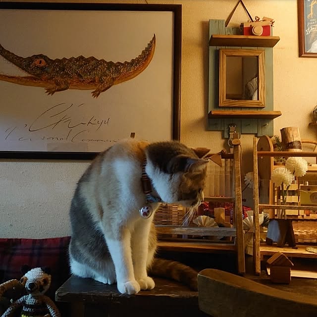 fukuさんの部屋
