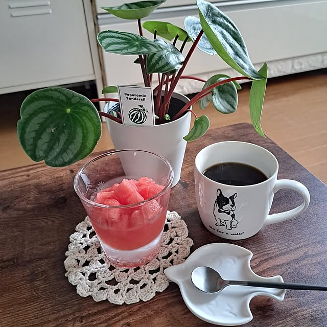 noaさんの部屋
