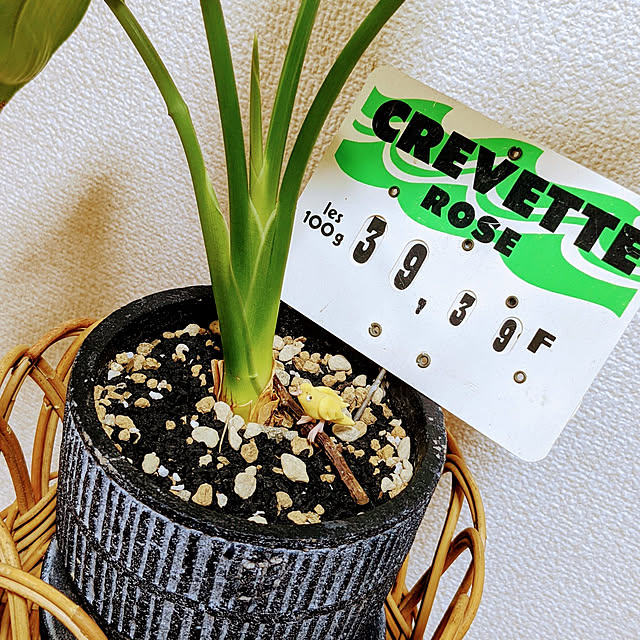 tinycafeさんの実例写真