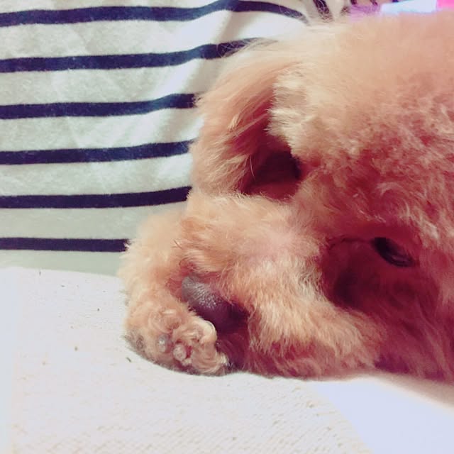 rutanmamaさんの実例写真