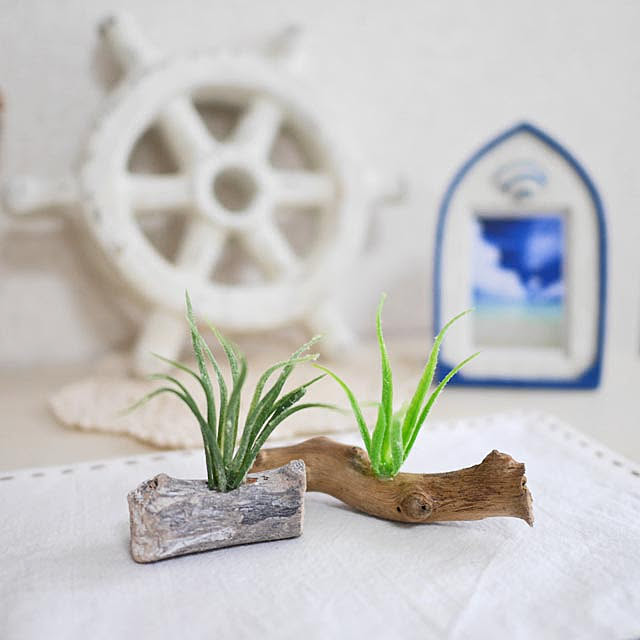 tulip0110さんの実例写真