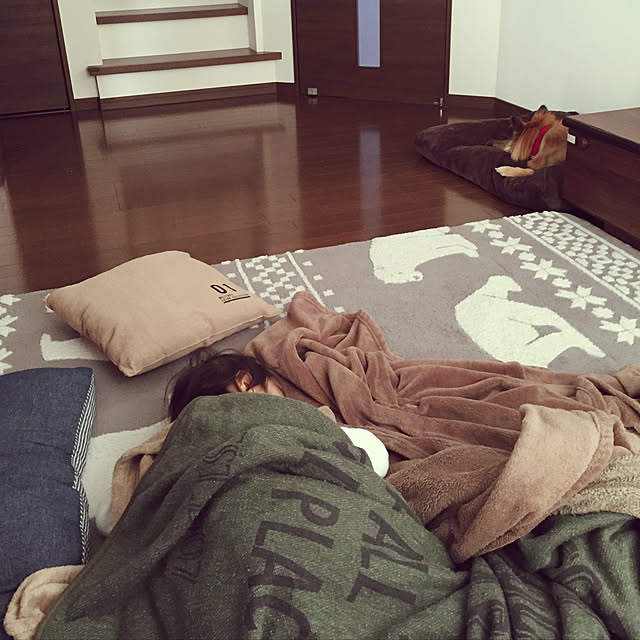 hikanaさんの実例写真