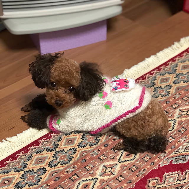 Tiaraさんの実例写真