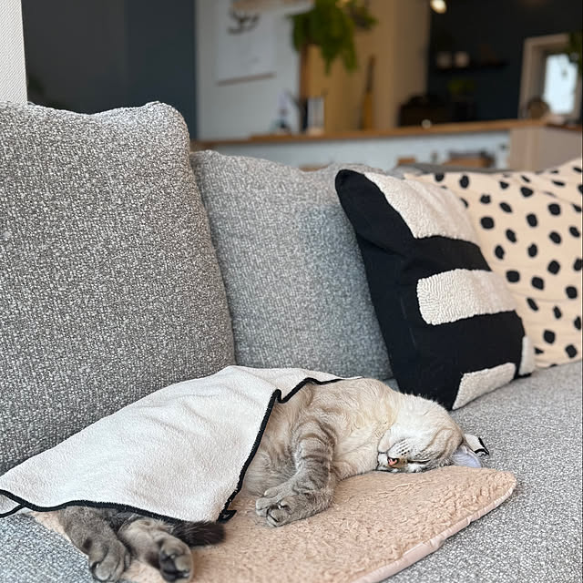 amさんの実例写真