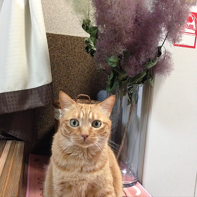 howzer11さんの実例写真