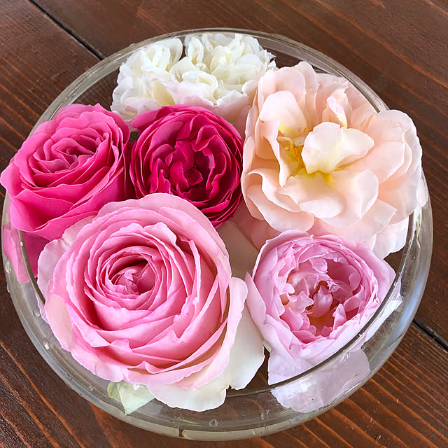 Yumikoさんの部屋