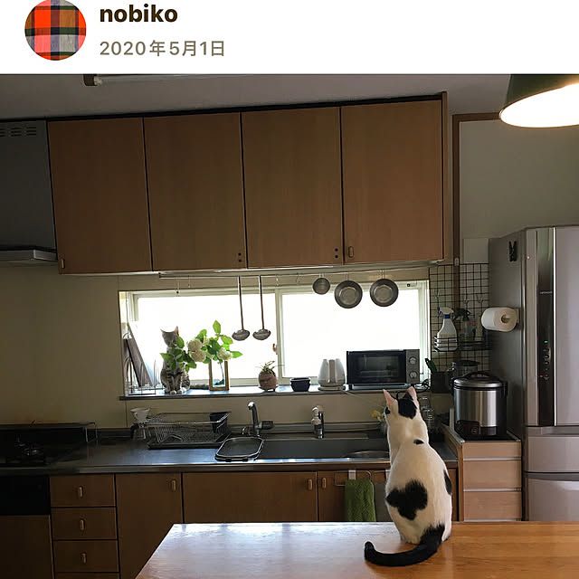 nobikoさんの部屋
