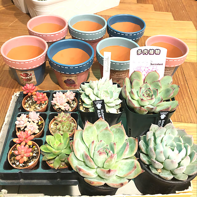 yukiminさんの実例写真