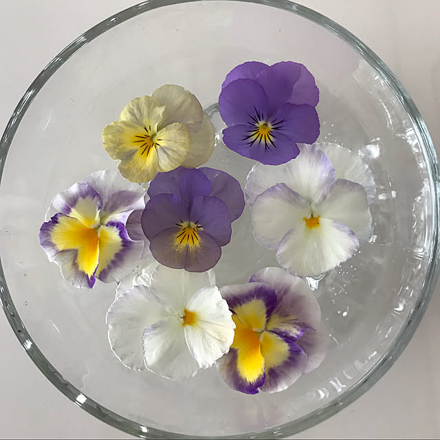 gurichanさんの実例写真