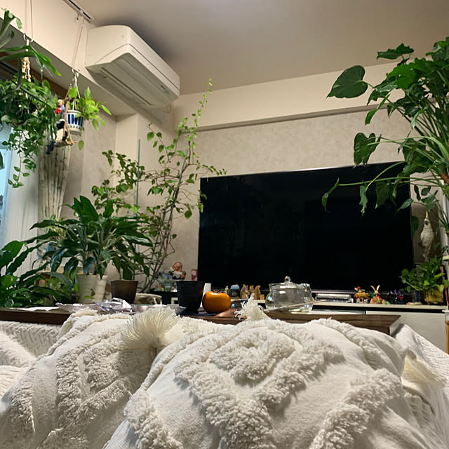 Aqettyさんの実例写真