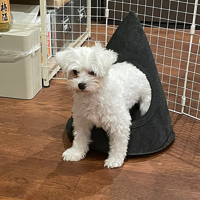 maamiさんの部屋