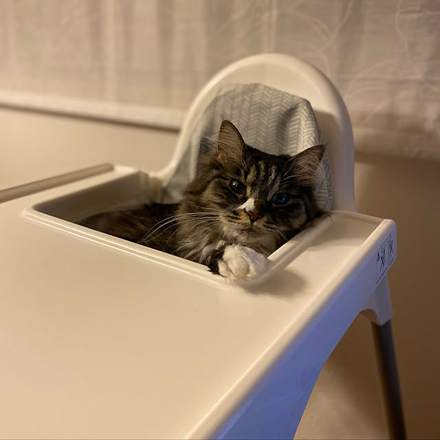 Hisashiさんの実例写真