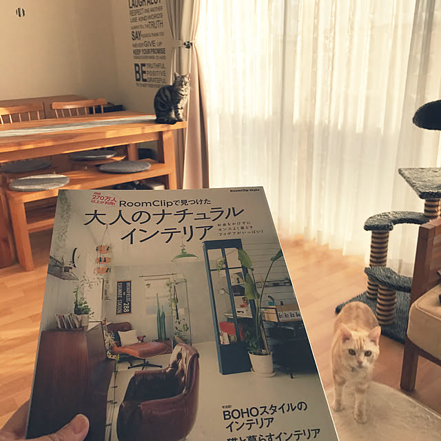 hiyupan88さんの実例写真