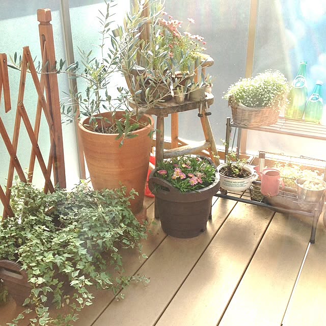 Yukaさんの実例写真