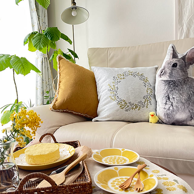 miechuraさんの部屋