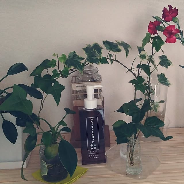 sumomoさんの部屋